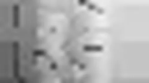 蓉城迎战泰山：周定洋主控 韦世豪领航 费利佩罗慕洛锐意进攻